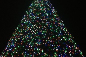 Inside the Christmas Tree