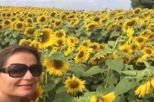 Sunflowers Galore at Colby Farm